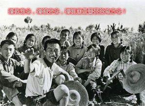 知青奇闻爆料视频完整版,奇闻异事视频完整版深度解析  第3张