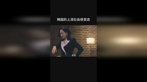 免费上流社会在线观看,在线观看的奢华盛宴